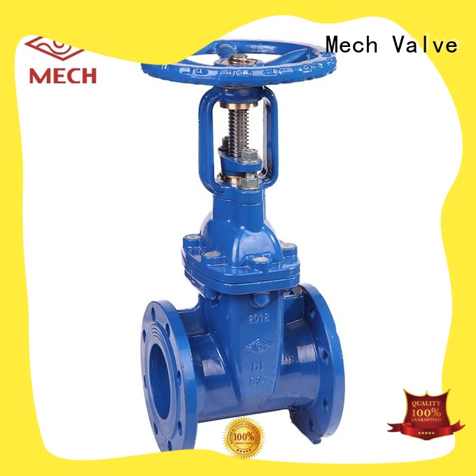 Mech Valve durable resilient wedge gate valve iron