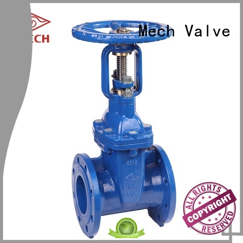 rising double flanged gate valve high quality iron disposal