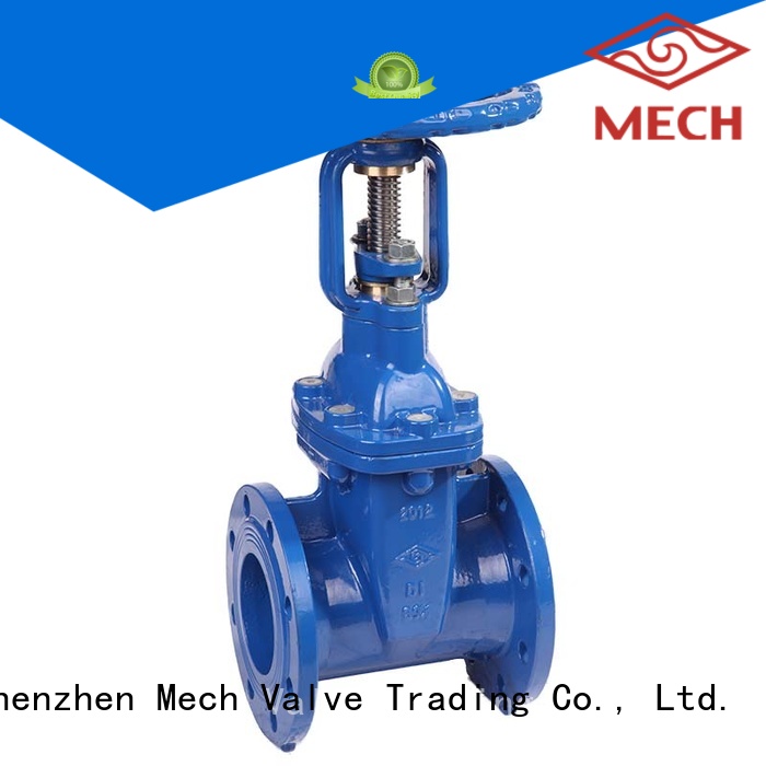 cast iron gate valve durable for wholesale Mech Valve