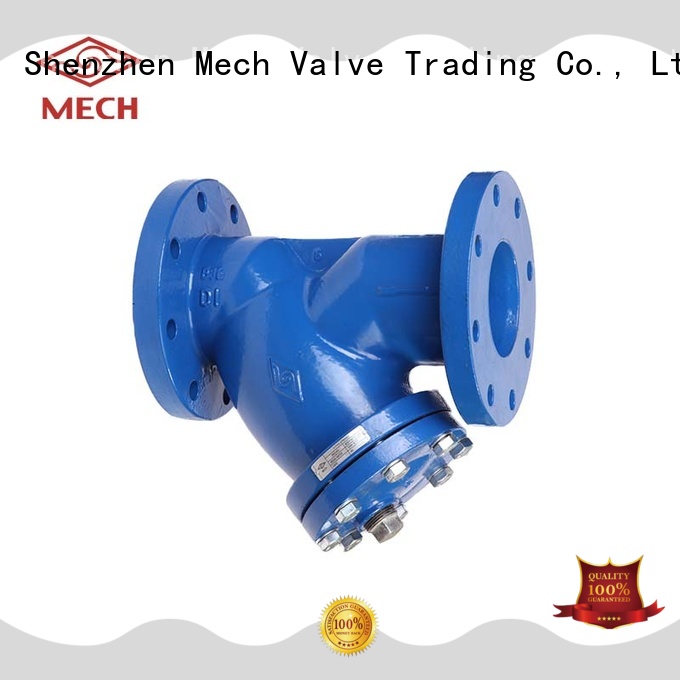 water y type strainer top brand water filtering system Mech Valve