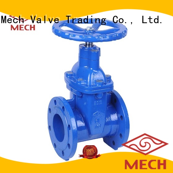 Mech Valve seated wedge gate valve