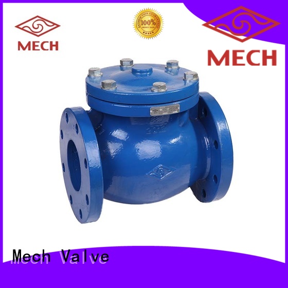 Mech Valve silent 4 spring check valve manufacturers chemical industry