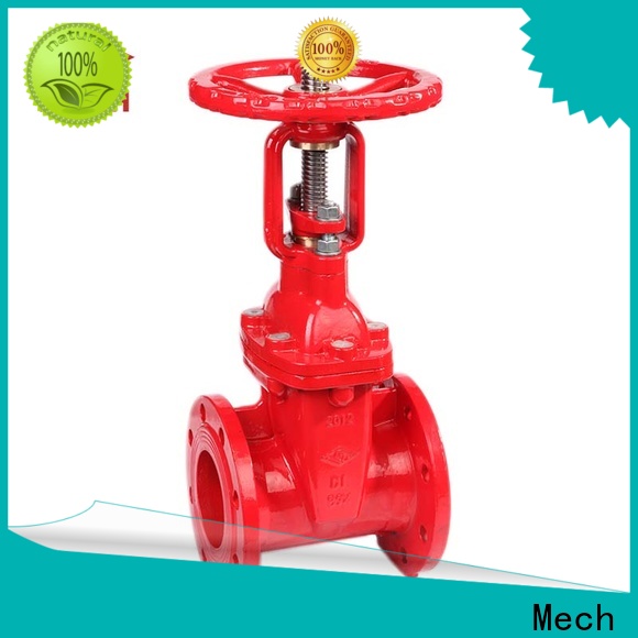 Mech Latest iron gate valve factory for wholesale