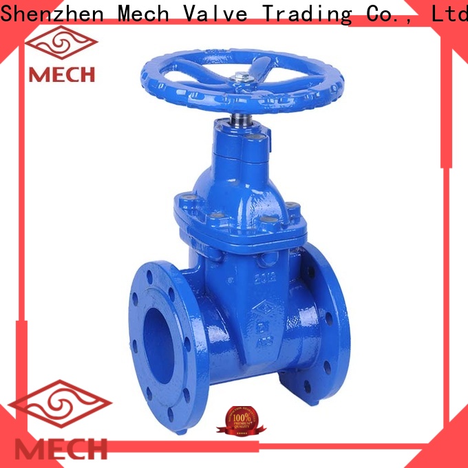 Mech hot-sale globe gate valve company for water gate