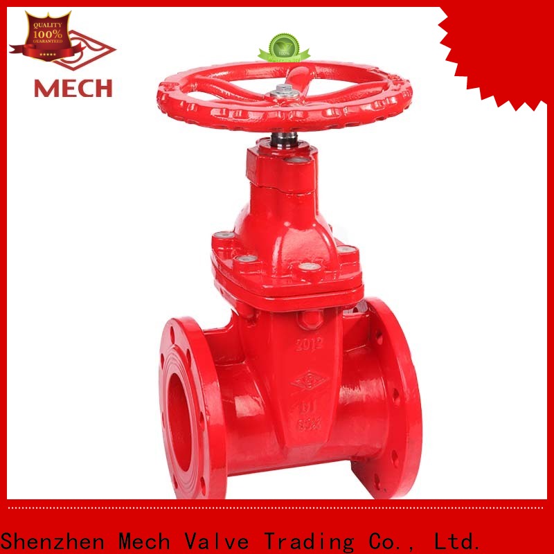 Mech durable iron gate valve Suppliers for wholesale