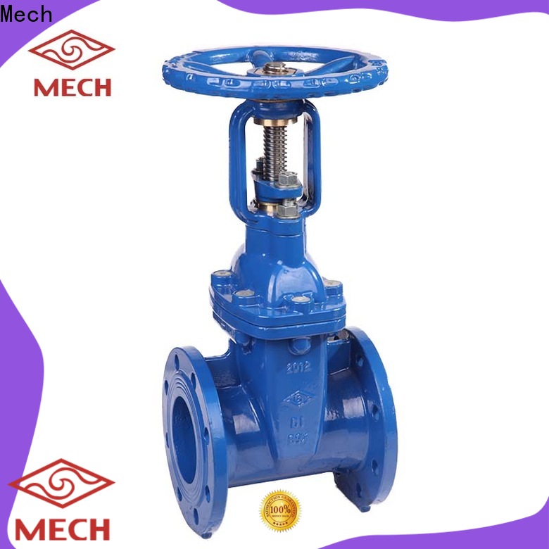 Mech High-quality piston check valve Suppliers energy