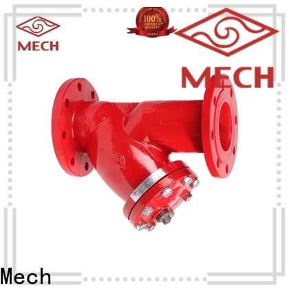 Mech High-quality duplex type strainer factory for sale