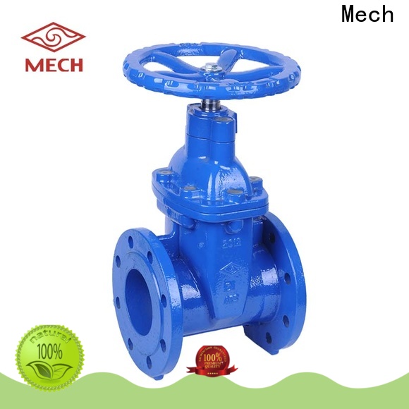 Mech durable vertical check valve company for potable