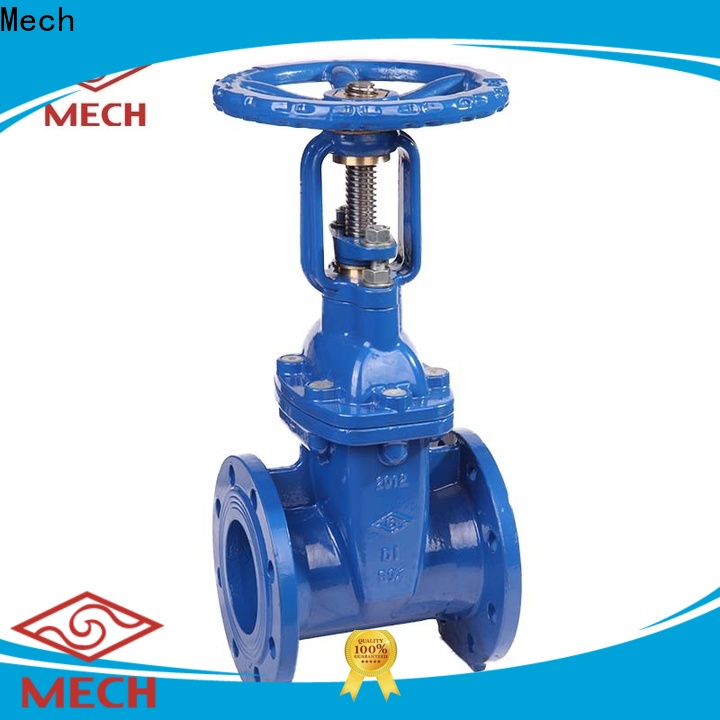 Mech 4 spring check valve factory water transportation