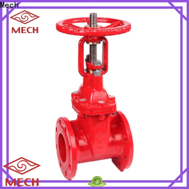 Mech durable foot check valve manufacturers for drainage