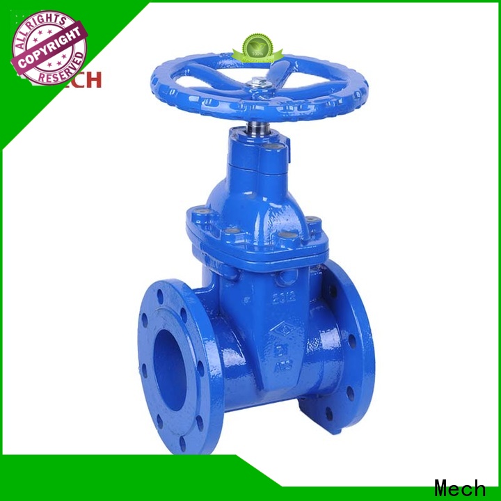 Custom an check valve company for wholesale