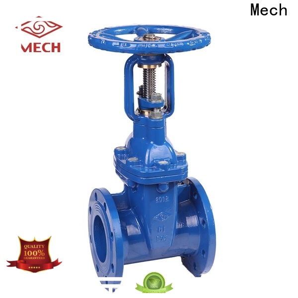 Wholesale ansi gate valve hot-sale Supply for sewage