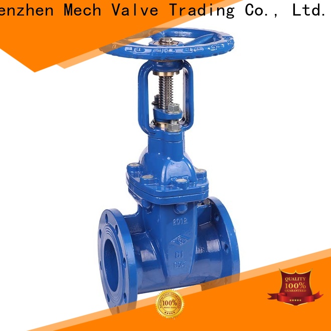 Mech High-quality cast iron gate valve Suppliers disposal