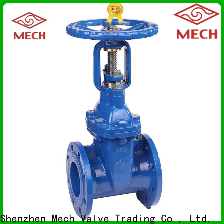 Mech 2.5 check valve factory for water gate