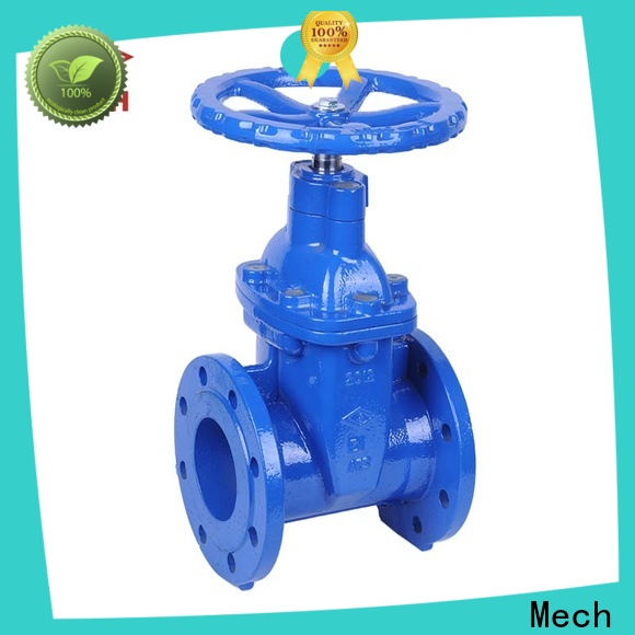 Mech hot-sale wafer type check valve company for supply