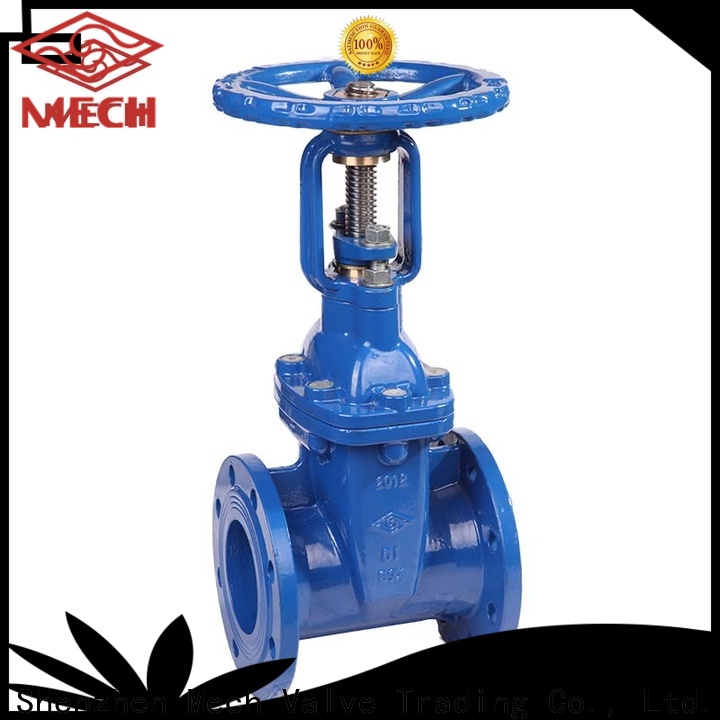 Mech 4 inch check valve company chemical