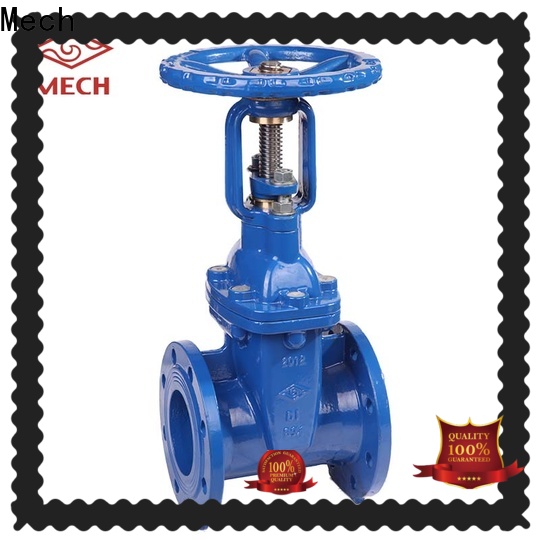 Mech hot-sale check valve fitting for business for wholesale