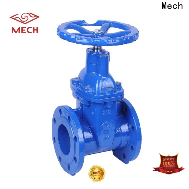 Mech globe valve company for potable