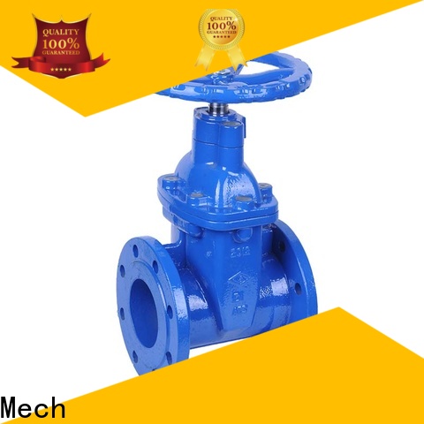 Top 1 inch swing check valve high quality Suppliers chemical