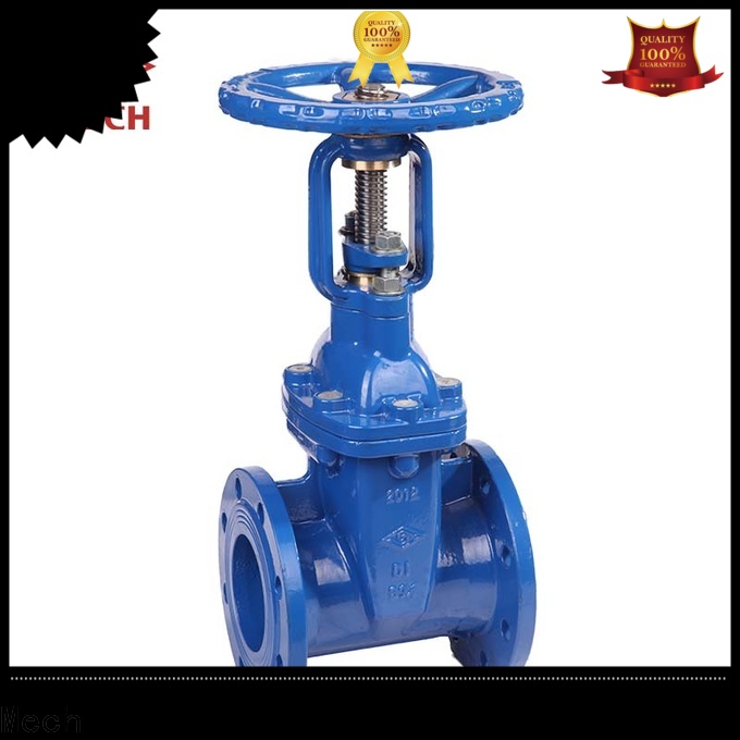 Best 4 inch check valve durable manufacturers industry