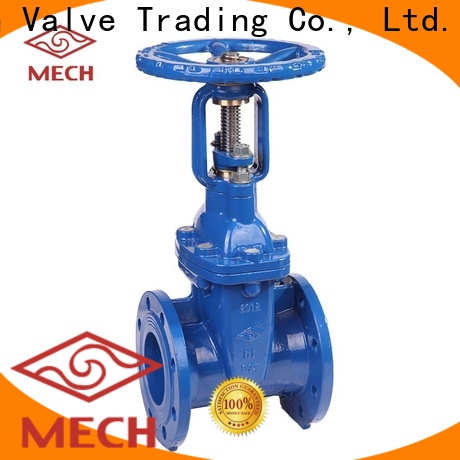 Mech High-quality vertical non return valve factory chemical