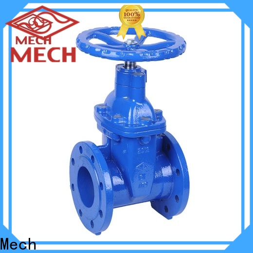 Mech durable globe valve company industry