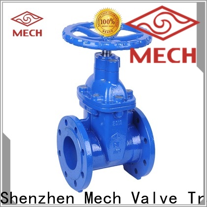 Mech New swing gate check valve for business disposal