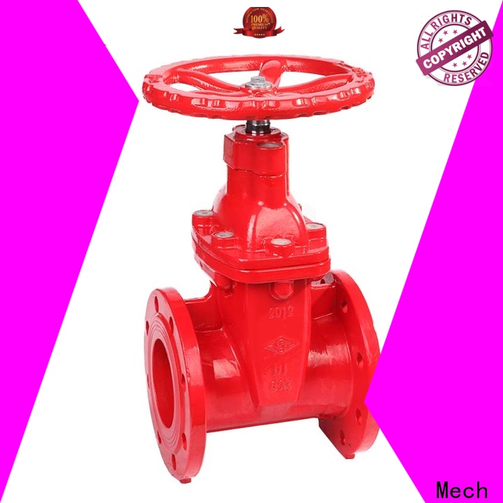 Mech hot-sale ball check valve for business chemical