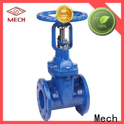 Mech Top flanged check valve for business chemical