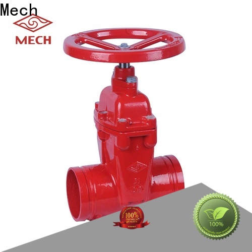 Mech New flange globe valve Supply chemical