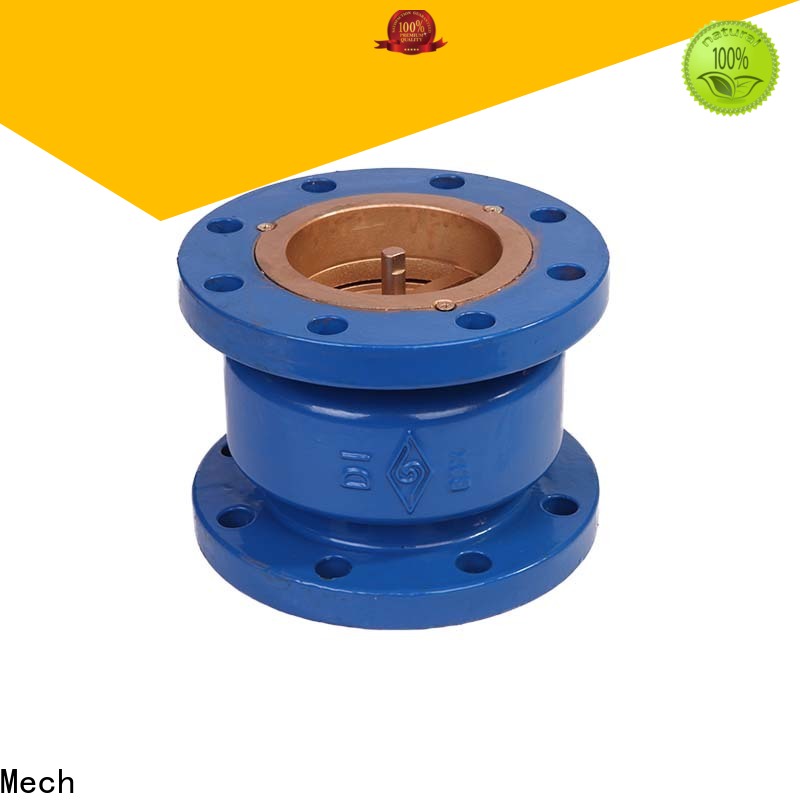 Mech High-quality 4 inch swing check valve Suppliers drainage