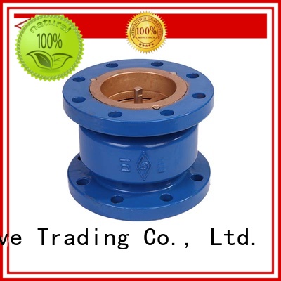 wafer wafer check valve buy now energy Mech Valve