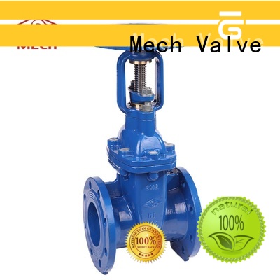 Mech Valve bronze check valve company for sewage