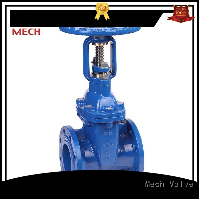 seal cast iron gate valve on water Mech Valve