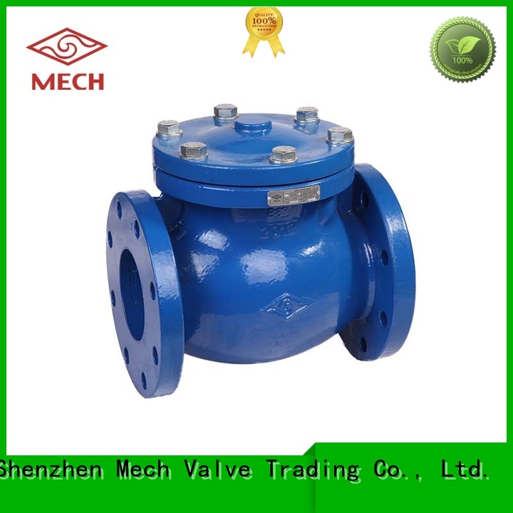 Mech Valve swing spring check valve buy now irrigation