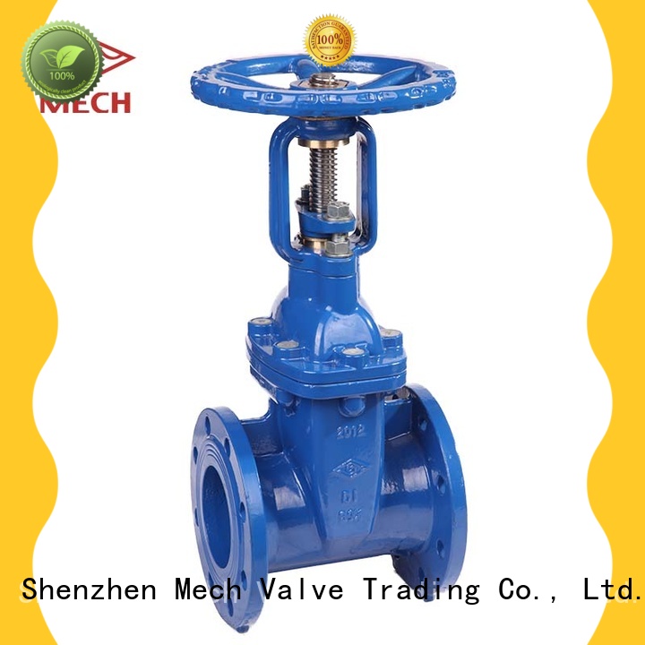 BS 5163 Flanged Resilient OS&Y Gate Valve, Type B (Z41XB), PN10/16