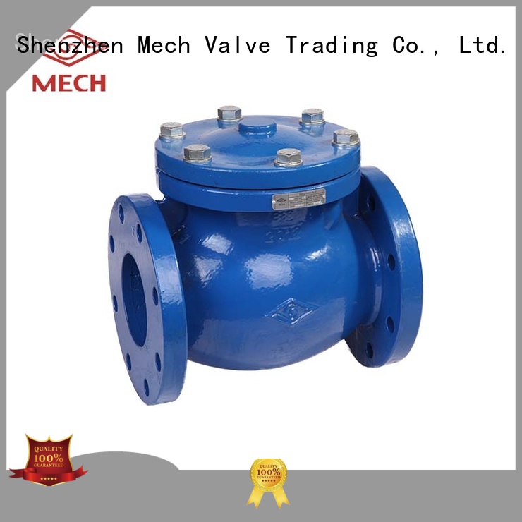 Mech Valve spring bronze globe valve factory energy control