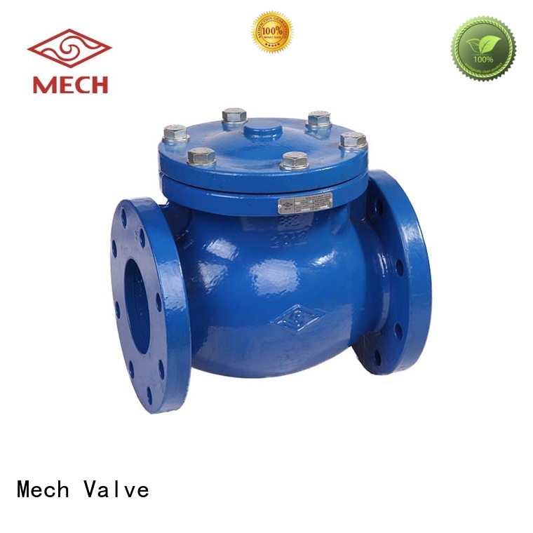 Swing Check Valve BS EN 12334 (H44X, H44T), PN10/16