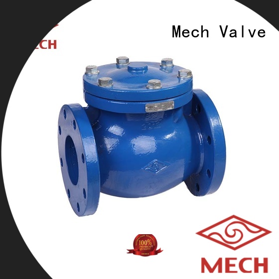 Mech Valve disc check valve buy now chemical