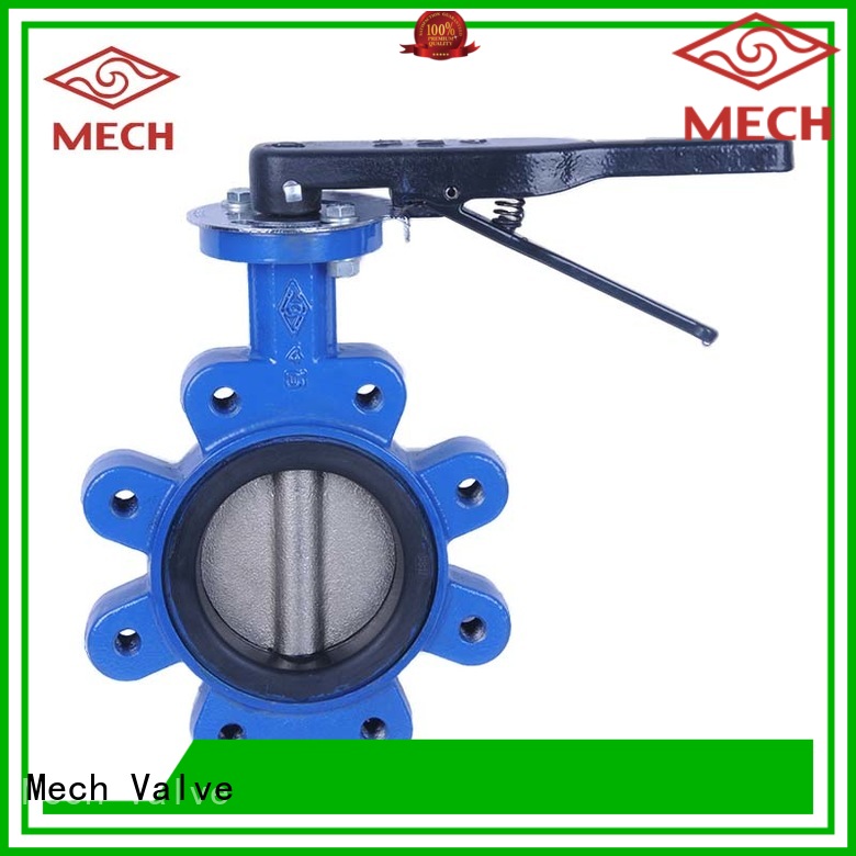 Mech Valve good-quality butterfly valve lug disposal