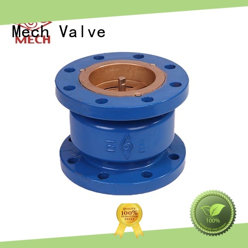 Mech Valve silent swing check valve check now chemical