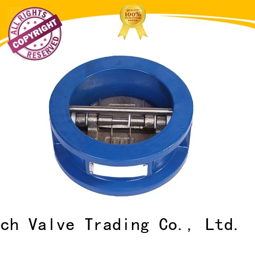 Mech Valve swing check valve spring for wholesale