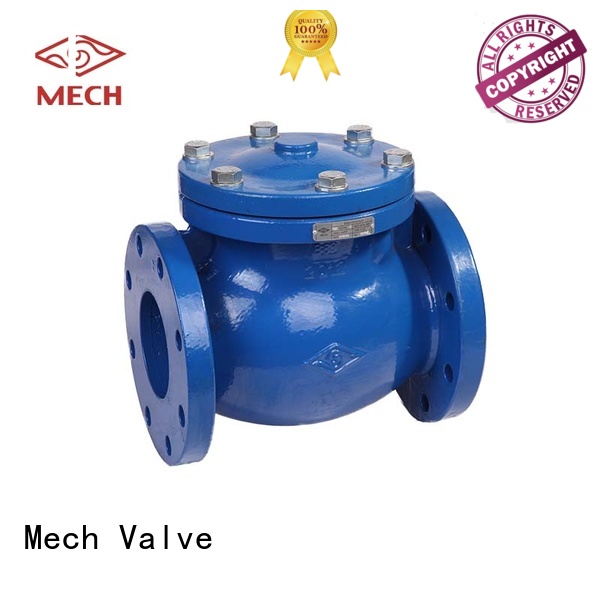 spring check valve disc door Mech Valve