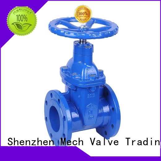 Mech Valve Custom 6 gate valve company ﬁre protection