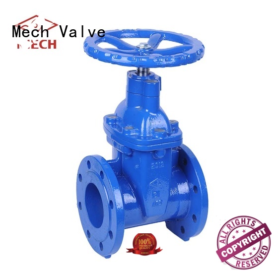 Mech Valve Custom check valve pvc manufacturers chemical