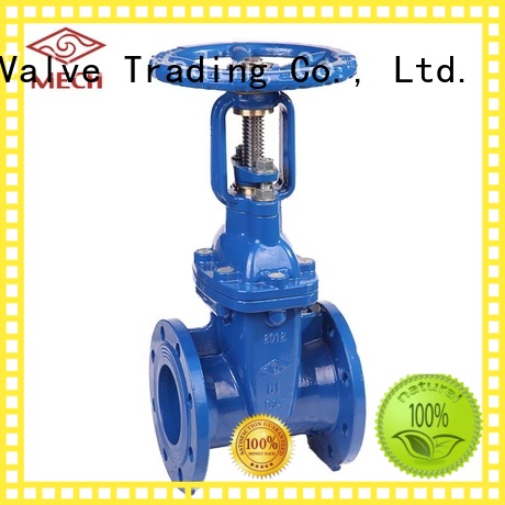 Mech Valve approved flanged gate valve stem industry.