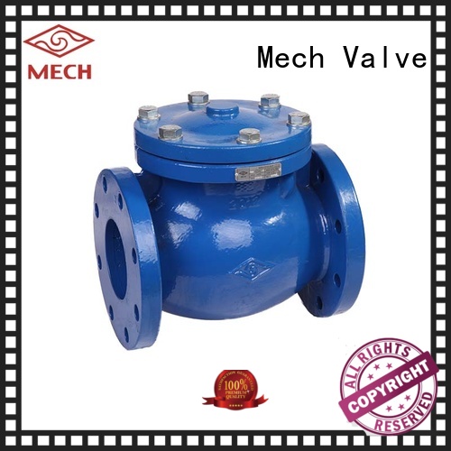 Swing Check Valve BS EN 12334 (H44X, H44T), PN10/16