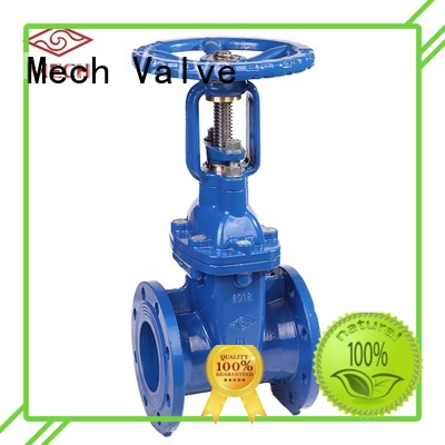 Mech Valve Best choke valve factory for supply