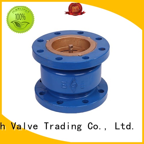 Top 4 check valve swing manufacturers chemical industry