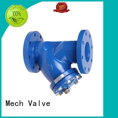 y type strainer grooved bulk production Mech Valve